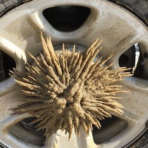 Meet your Posher, Sabina